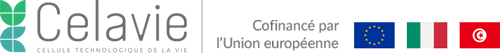 celavie-logo-site-3